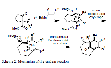 Mechanism of the tandem reaction